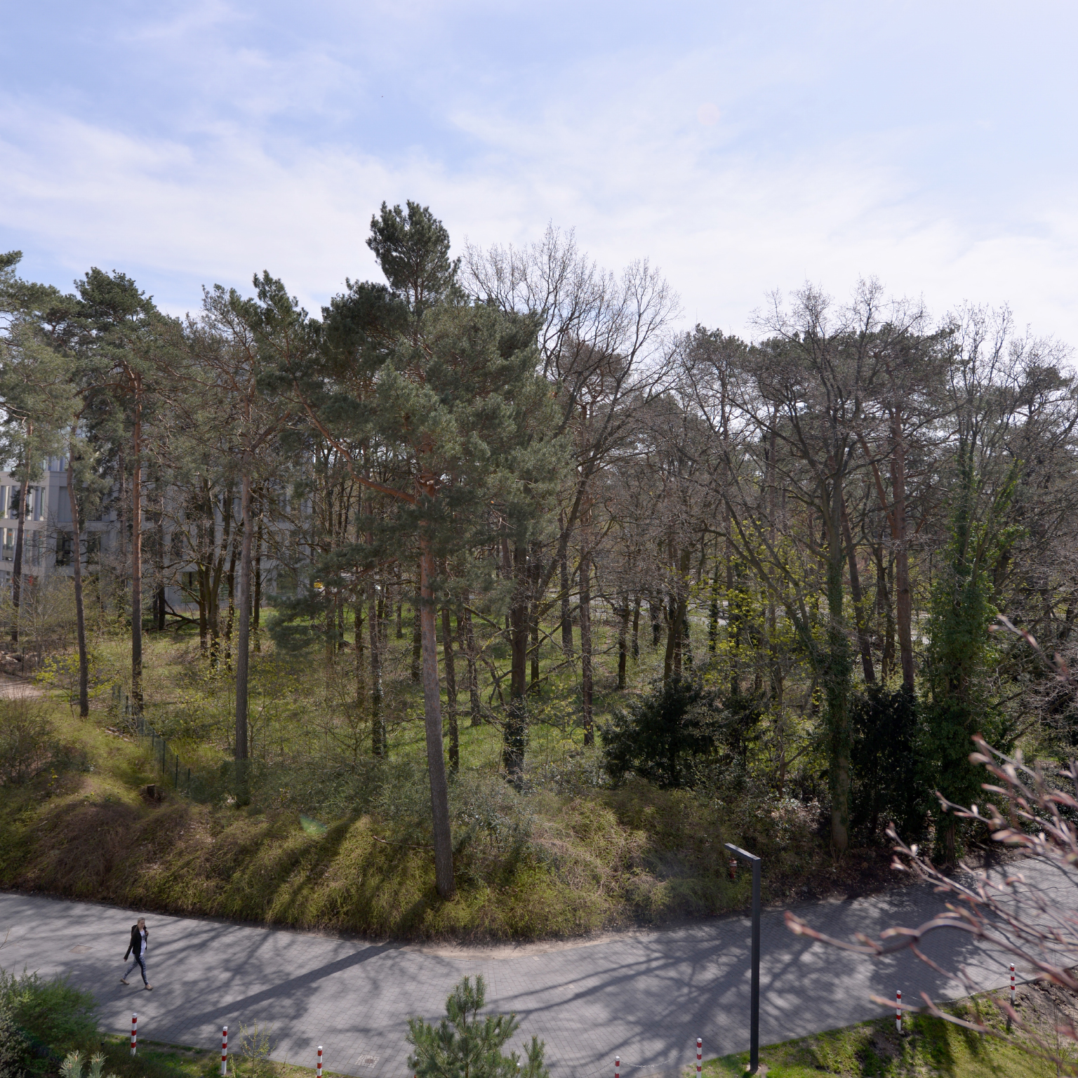 Thumbnail Image 1